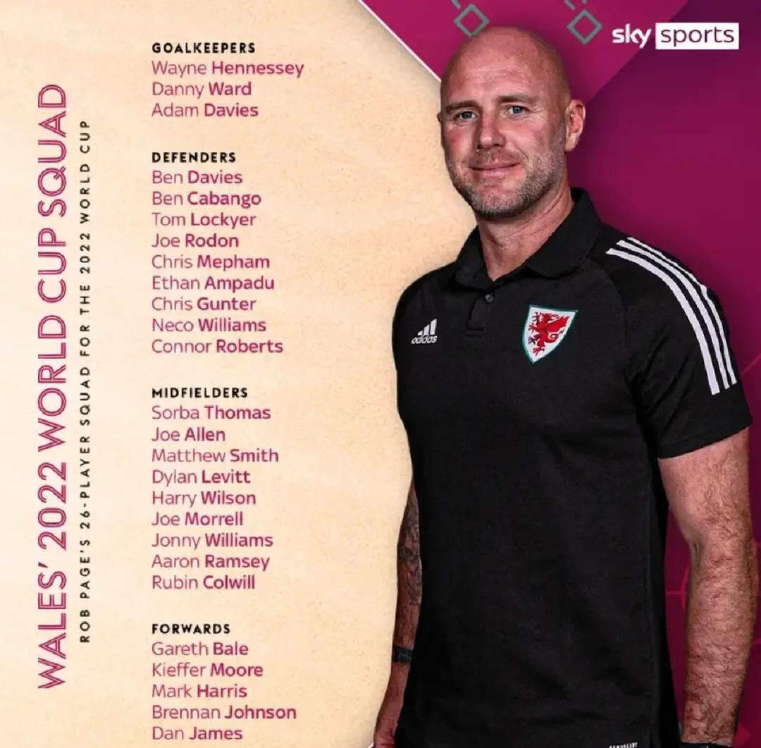 威尔士国家队主帅盖尔夫：希望球队在欧洲杯表现出色的简单介绍